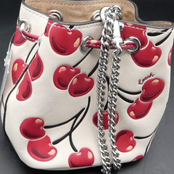 Coach Mini Bucket Bag/Wristlet - Picture 1 of 3